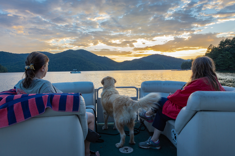 Tips for Sailing With Your Dog on Board